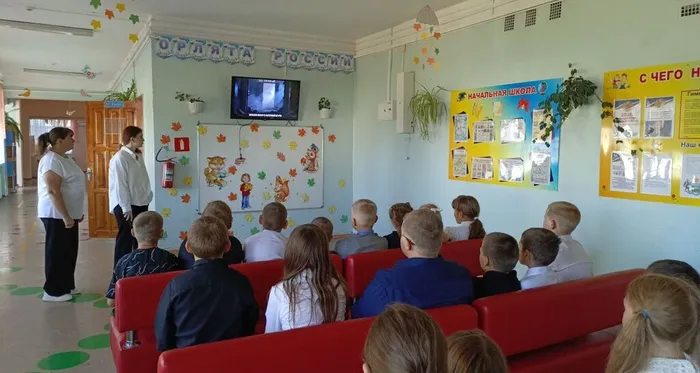Просмотр видеоролика