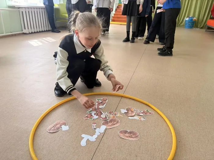 игра покорми белочек