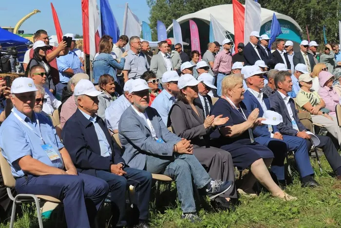 день поля