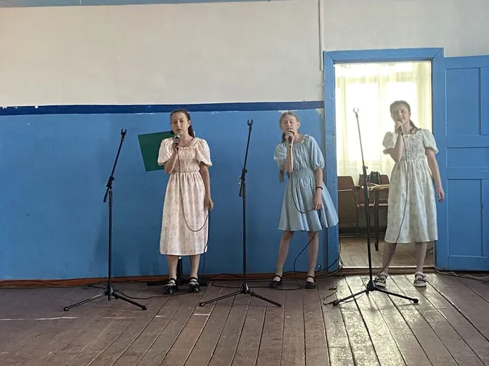 Домисольки