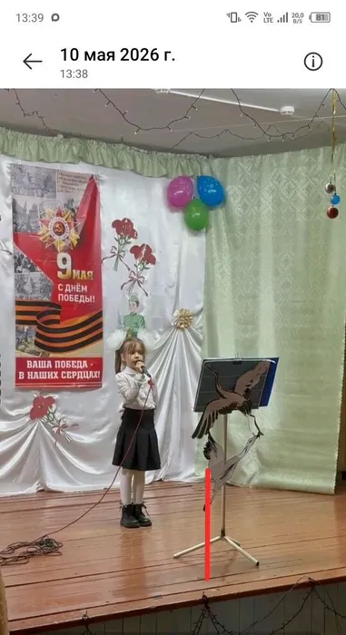 Домбровская Елизавета